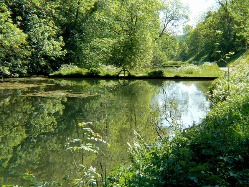Fish ponds Fish ponds